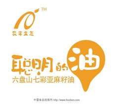 理解代理信息 定義、類型與應(yīng)用場(chǎng)景